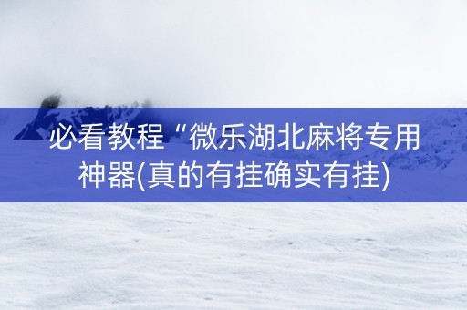 必看教程“微乐湖北麻将专用神器(真的有挂确实有挂)