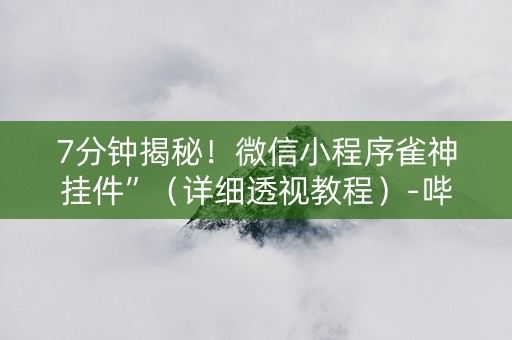 7分钟揭秘！微信小程序雀神挂件”（详细透视教程）-哔哩哔哩