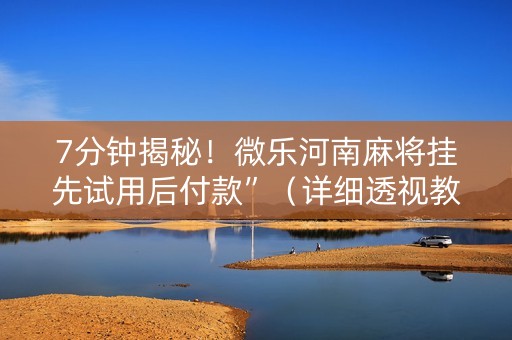 7分钟揭秘！微乐河南麻将挂先试用后付款”（详细透视教程）-哔哩哔哩