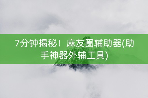 7分钟揭秘！麻友圈辅助器(助手神器外辅工具)
