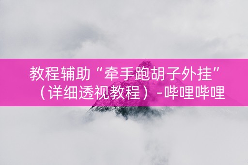 教程辅助“牵手跑胡子外挂”（详细透视教程）-哔哩哔哩