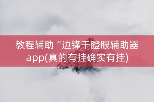 教程辅助“边锋干瞪眼辅助器app(真的有挂确实有挂)