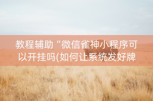 教程辅助“微信雀神小程序可以开挂吗(如何让系统发好牌)