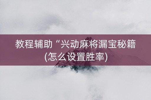 教程辅助“兴动麻将漏宝秘籍(怎么设置胜率)