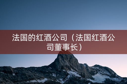 法国的红酒公司（法国红酒公司董事长）