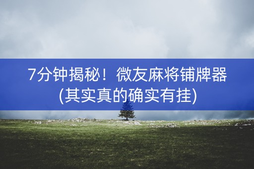 7分钟揭秘！微友麻将铺牌器(其实真的确实有挂)