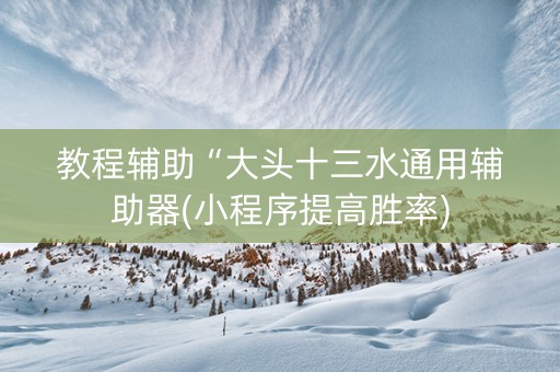 教程辅助“大头十三水通用辅助器(小程序提高胜率)