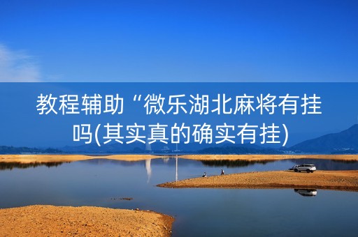 教程辅助“微乐湖北麻将有挂吗(其实真的确实有挂)