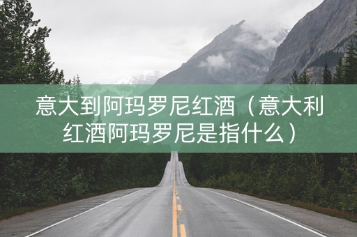 意大到阿玛罗尼红酒（意大利红酒阿玛罗尼是指什么）