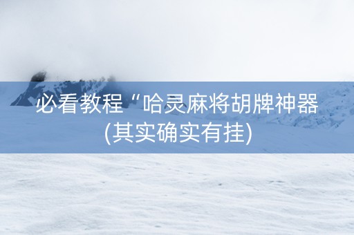 必看教程“哈灵麻将胡牌神器(其实确实有挂)