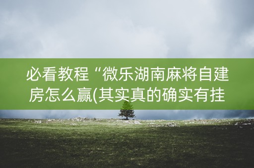 必看教程“微乐湖南麻将自建房怎么赢(其实真的确实有挂)