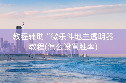 教程辅助“微乐斗地主透明器教程(怎么设置胜率)