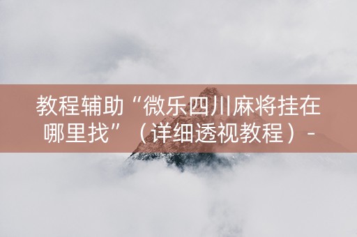 教程辅助“微乐四川麻将挂在哪里找”（详细透视教程）-哔哩哔哩