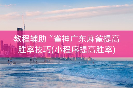 教程辅助“雀神广东麻雀提高胜率技巧(小程序提高胜率)