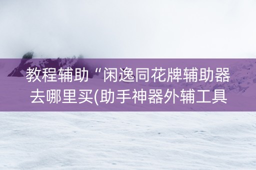 教程辅助“闲逸同花牌辅助器去哪里买(助手神器外辅工具)