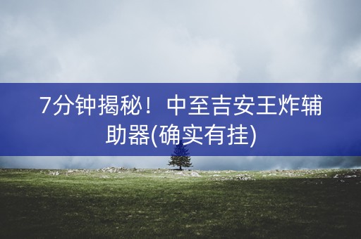 7分钟揭秘！中至吉安王炸辅助器(确实有挂)