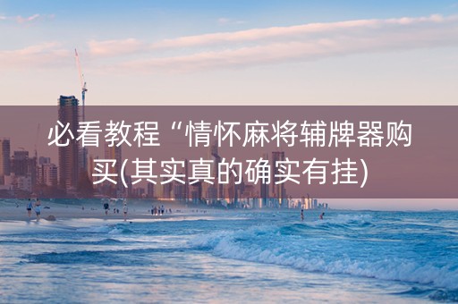 必看教程“情怀麻将辅牌器购买(其实真的确实有挂)