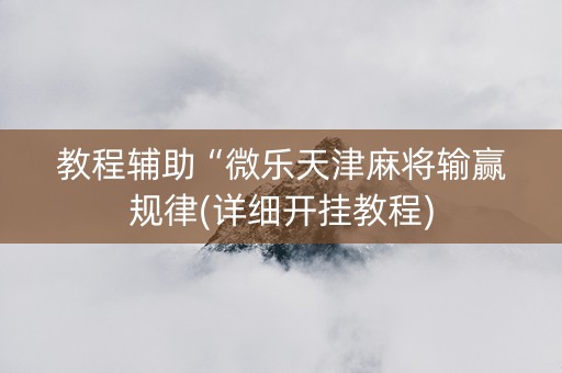 教程辅助“微乐天津麻将输赢规律(详细开挂教程)