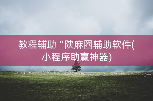 教程辅助“陕麻圈辅助软件(小程序助赢神器)