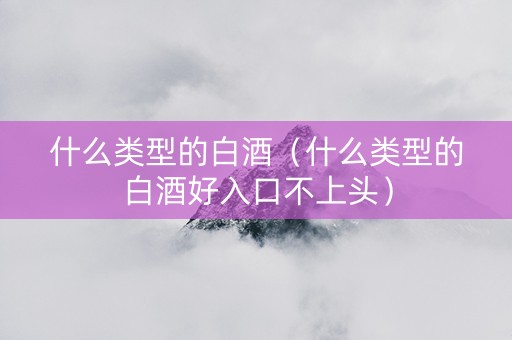 什么类型的白酒（什么类型的白酒好入口不上头）