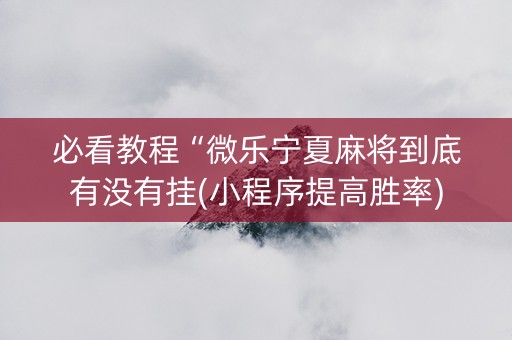 必看教程“微乐宁夏麻将到底有没有挂(小程序提高胜率)