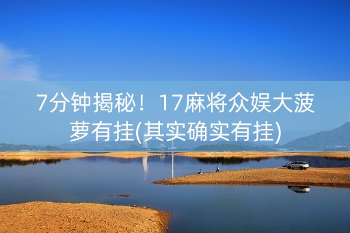 7分钟揭秘！17麻将众娱大菠萝有挂(其实确实有挂)