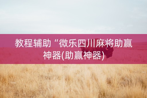 教程辅助“微乐四川麻将助赢神器(助赢神器)