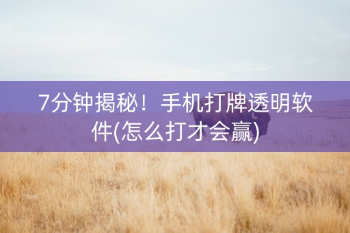 7分钟揭秘！手机打牌透明软件(怎么打才会赢)
