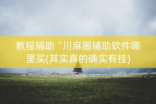 教程辅助“川麻圈辅助软件哪里买(其实真的确实有挂)
