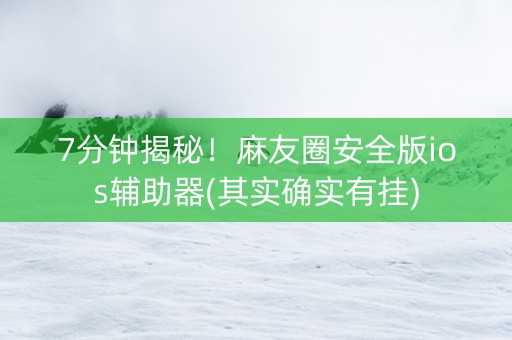 7分钟揭秘！麻友圈安全版ios辅助器(其实确实有挂)