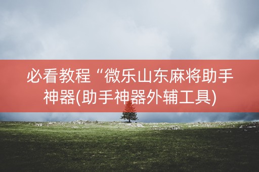 必看教程“微乐山东麻将助手神器(助手神器外辅工具)
