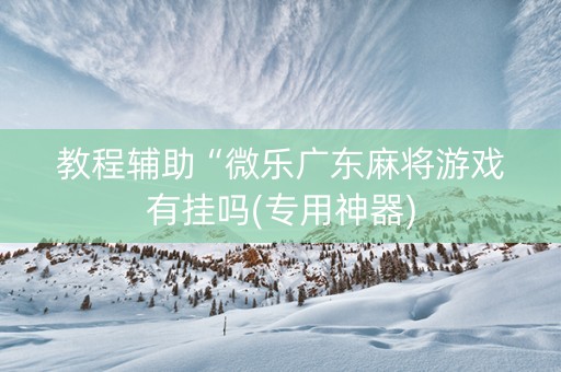 教程辅助“微乐广东麻将游戏有挂吗(专用神器)