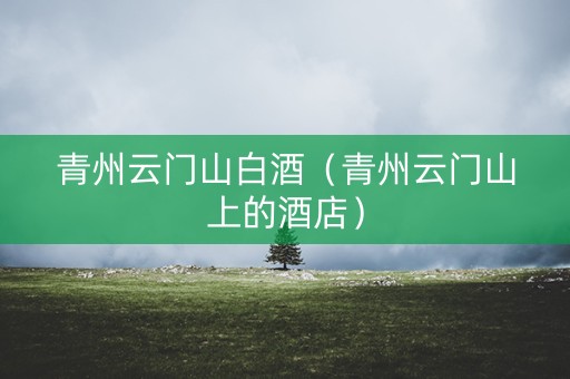 青州云门山白酒（青州云门山上的酒店）