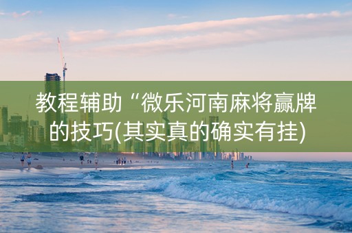 教程辅助“微乐河南麻将赢牌的技巧(其实真的确实有挂)