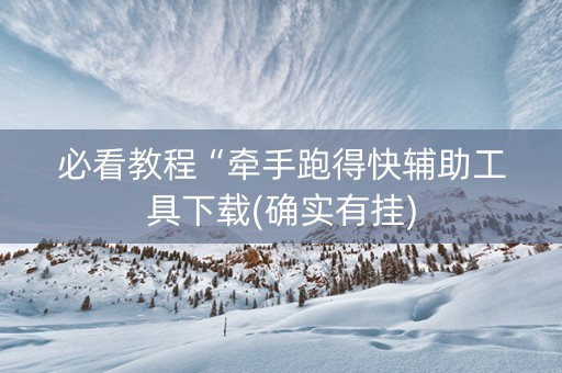 必看教程“牵手跑得快辅助工具下载(确实有挂)