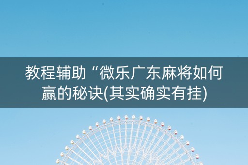 教程辅助“微乐广东麻将如何赢的秘诀(其实确实有挂)