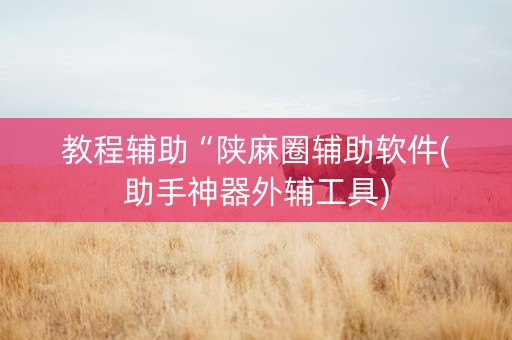 教程辅助“陕麻圈辅助软件(助手神器外辅工具)