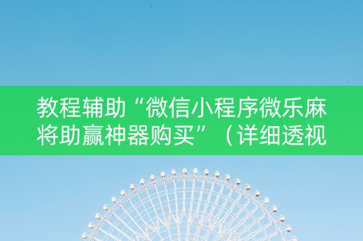 教程辅助“微信小程序微乐麻将助赢神器购买”（详细透视教程）-哔哩哔哩