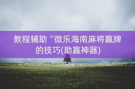 教程辅助“微乐海南麻将赢牌的技巧(助赢神器)