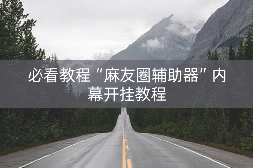 必看教程“麻友圈辅助器”内幕开挂教程