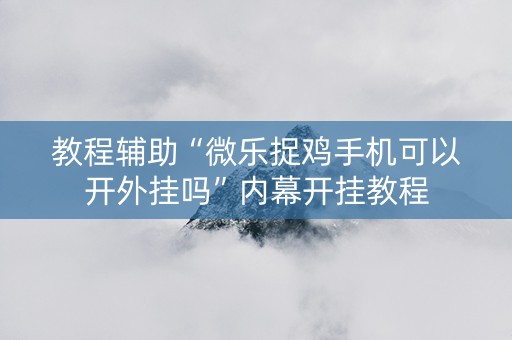 教程辅助“微乐捉鸡手机可以开外挂吗”内幕开挂教程