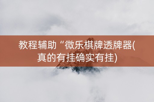教程辅助“微乐棋牌透牌器(真的有挂确实有挂)