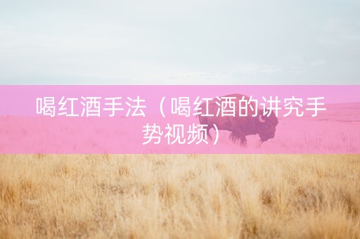 喝红酒手法（喝红酒的讲究手势视频）