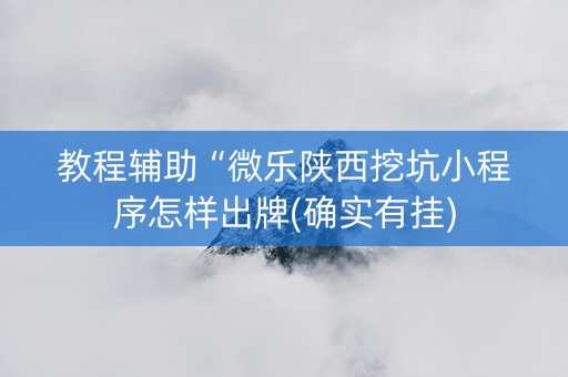 教程辅助“微乐陕西挖坑小程序怎样出牌(确实有挂)