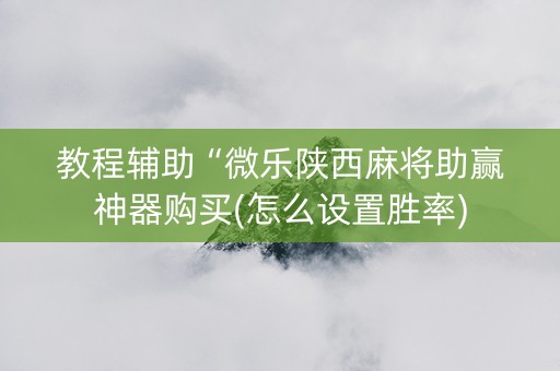 教程辅助“微乐陕西麻将助赢神器购买(怎么设置胜率)
