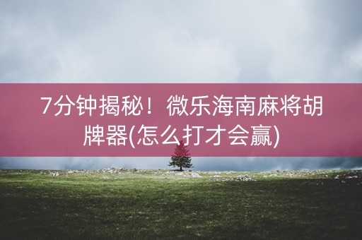 7分钟揭秘！微乐海南麻将胡牌器(怎么打才会赢)