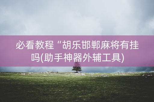 必看教程“胡乐邯郸麻将有挂吗(助手神器外辅工具)