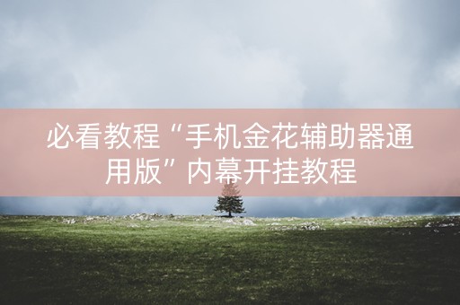 必看教程“手机金花辅助器通用版”内幕开挂教程