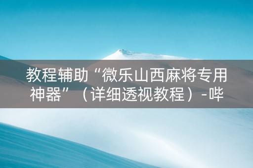 教程辅助“微乐山西麻将专用神器”（详细透视教程）-哔哩哔哩