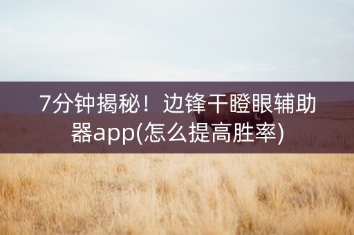 7分钟揭秘！边锋干瞪眼辅助器app(怎么提高胜率)